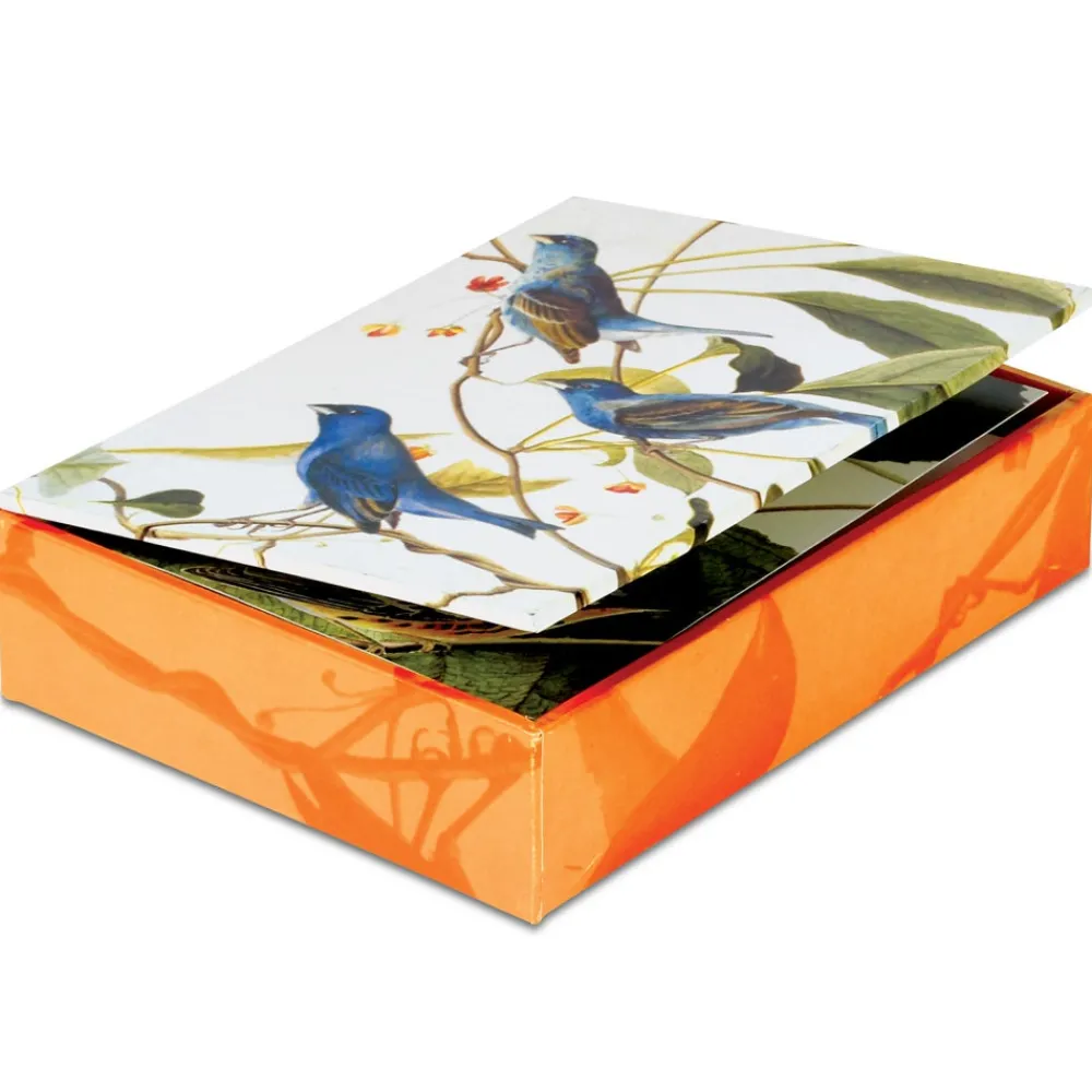 Notecards & Correspondence^The Met Store Audubon Birds Notecards