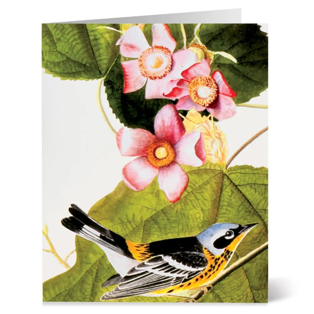Notecards & Correspondence^The Met Store Audubon Birds Notecards