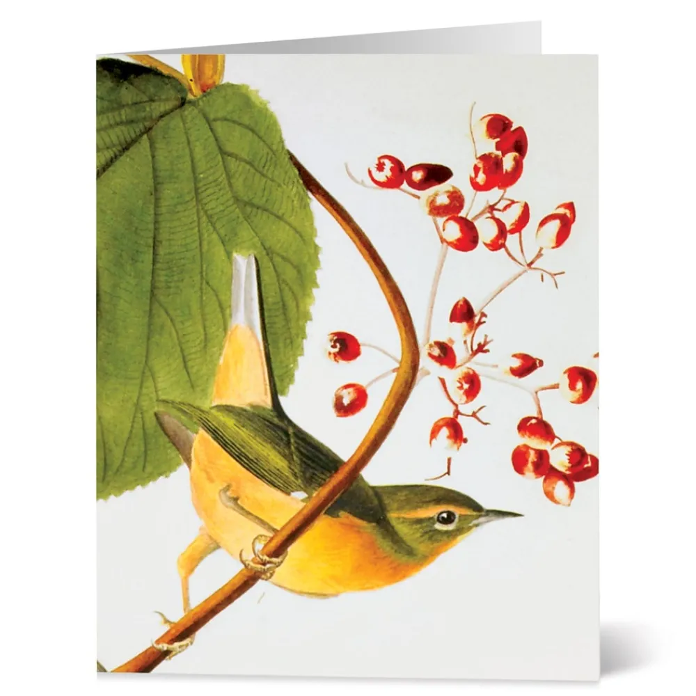 Notecards & Correspondence^The Met Store Audubon Birds Notecards
