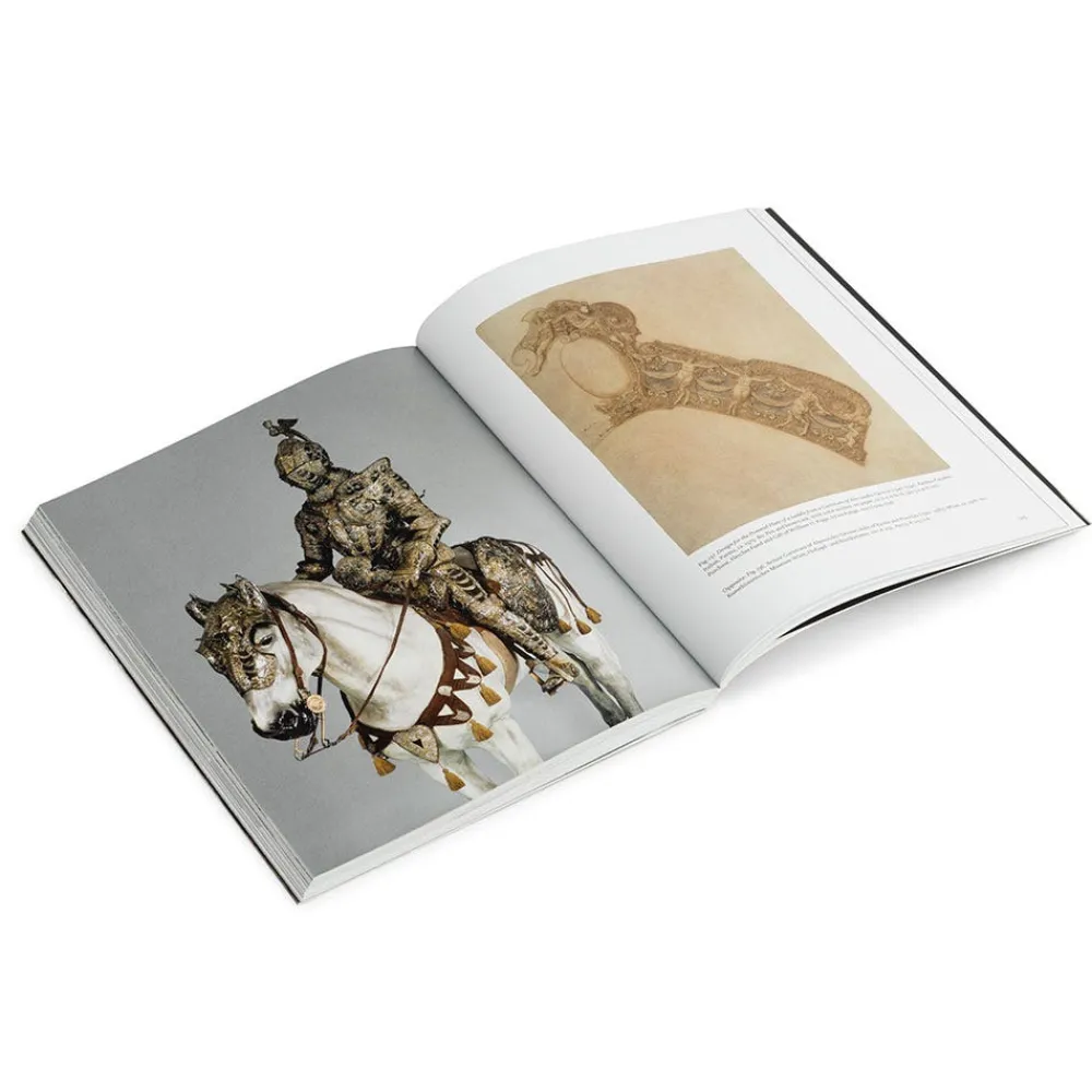 Met Publications|Art History & Reference^The Met Store How to Read European Armor