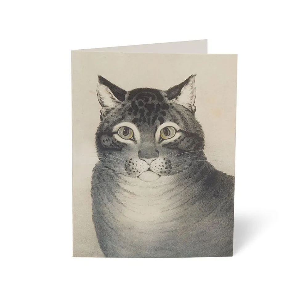 Notecards & Correspondence^The Met Store Cats of The Met Notecards