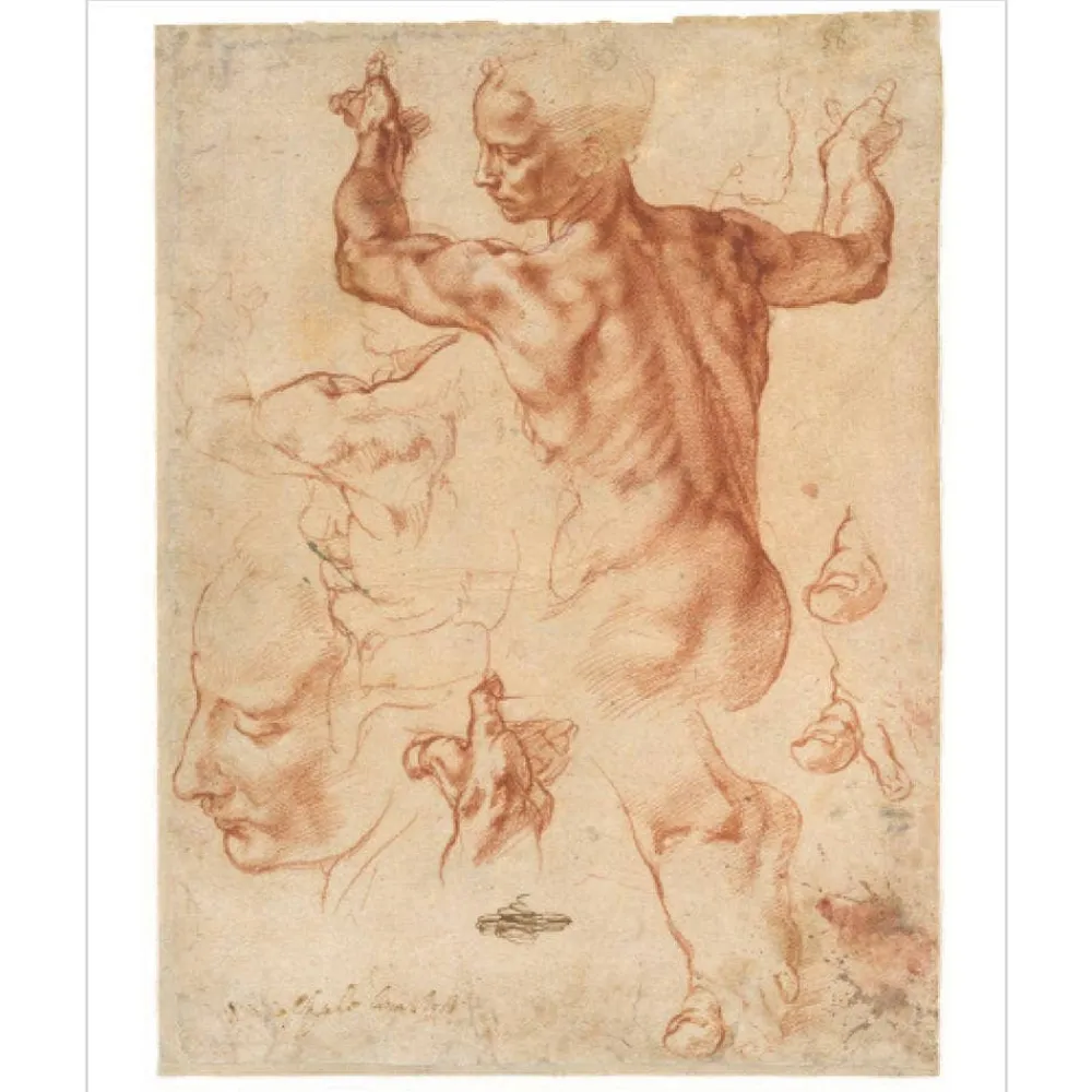 Met Publications|Art History & Reference^The Met Store ART IS...